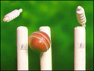 cricket%20wicket